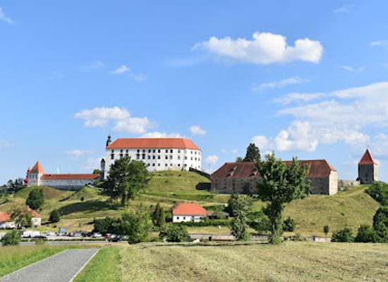 slovenia/ptuj/landmark/archaeological-park-panorama