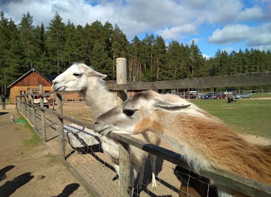 latvia/teici-nature-reserve/landmark/raksi-zoo