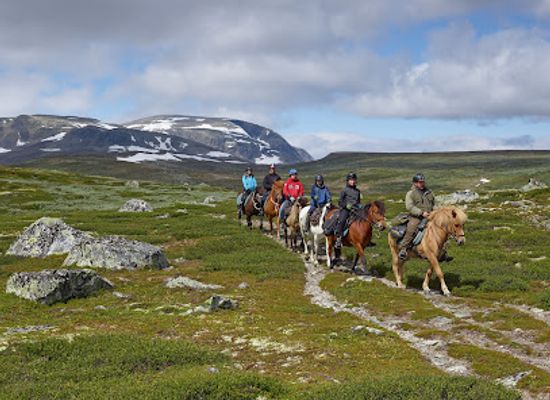 norway/geilo/landmark/visit-geilo-as