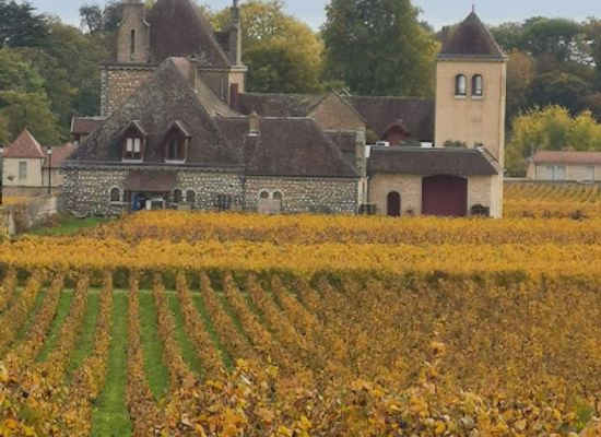 france/burgundy-vineyards/landmark/cote-de-nuits