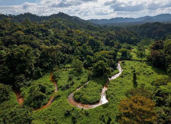 honduras/gracias-a-dios-region/landmark/reserva-de-la-biosfera-del-rio-platano