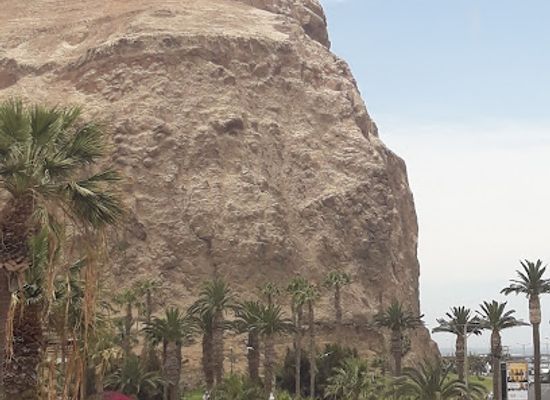chile/arica/landmark/vicuna-mackenna-square