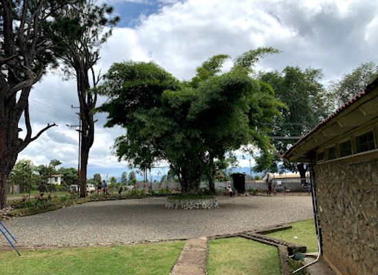 papua-new-guinea/goroka/landmark/jk-mccarthy-museum