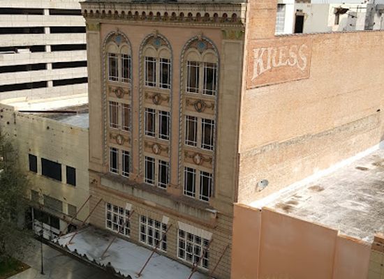 florida/tampa/downtown-tampa/landmark/s-h-kress-co