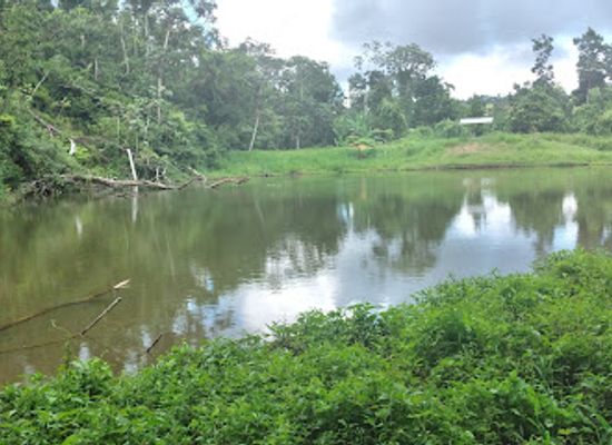 puerto-rico/puerto-rican-cordillera/landmark/monte-choca-state-park