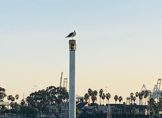 california/bakersfield/landmark/hart-memorial-park