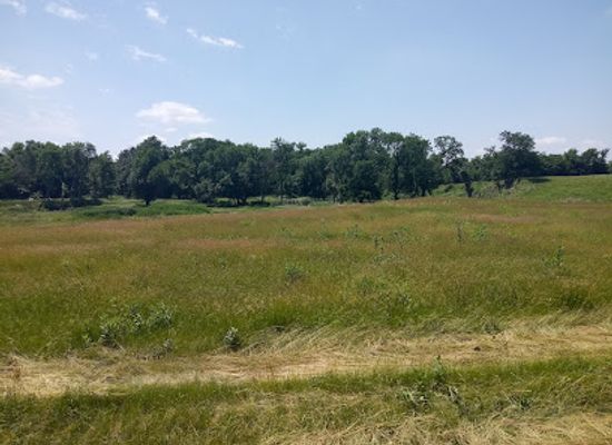 kansas/western-kansas/landmark/home-on-the-range-cabin