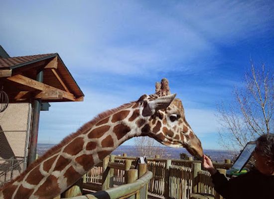 colorado/colorado-springs/landmark/visit-colorado-springs