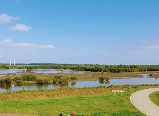 netherlands/ijsselmeer-polders/landmark/harderbroek-natuurmonumenten