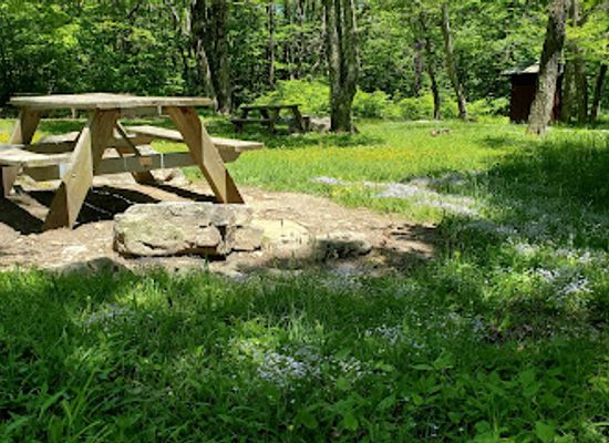 west-virginia/dolly-sods-wilderness/landmark/dolly-sods-picnic-area