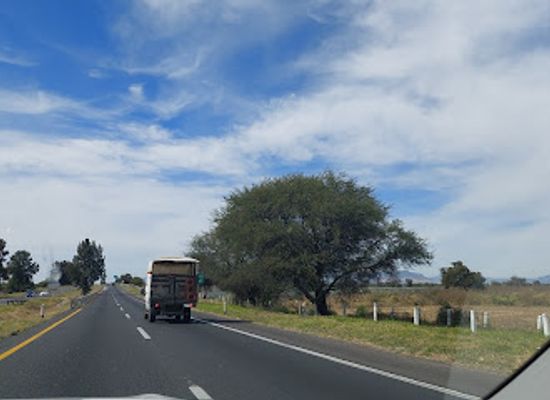 mexico/los-altos-de-jalisco/landmark/letrero-de-jalisco