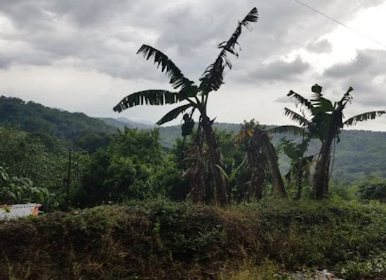jamaica/pedro-plains/landmark/bull-head-mountain