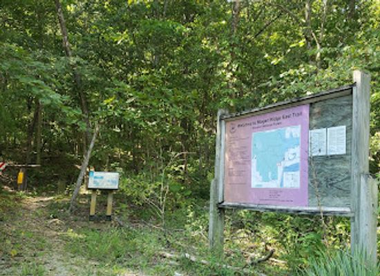 indiana/the-ohio-river-valley/landmark/mogan-ridge-east-trailhead