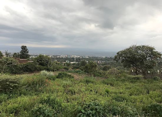 kenya/lake-nakuru-national-park/landmark/menengai-crater-forest