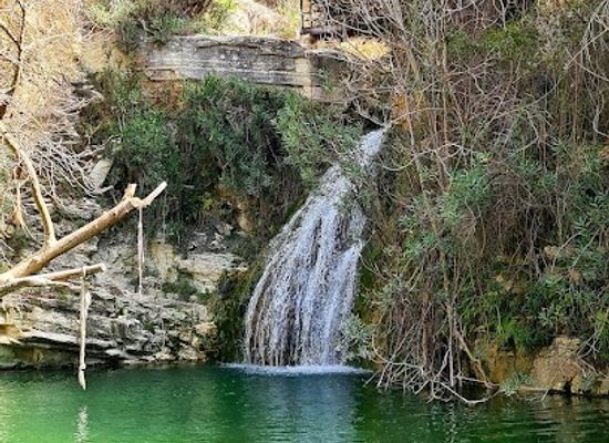 cyprus/adonis-baths-waterfalls/landmark/adonis-botanic-garden