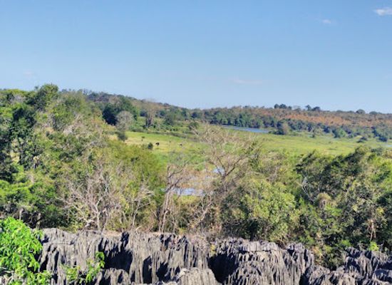 madagascar/masoala-national-park/landmark/tsingy-de-bemaraha-national-park