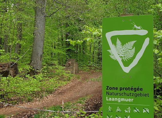 luxembourg/upper-moselle-nature-park/landmark/zone-protegee-laangmuer