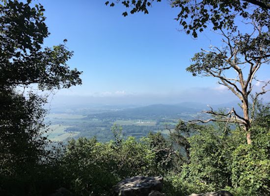 pennsylvania/anthracite-coal-region/landmark/weiser-state-forest