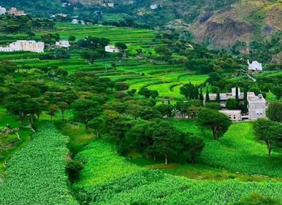 yemen/dhamar/landmark/mahmiat-atma-dhamar-yemen