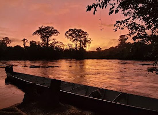 suriname/paramaribo-district/landmark/celestial-tours-suriname-nv