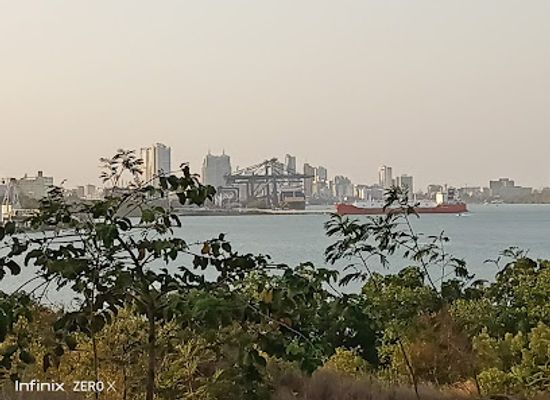 tanzania/southern-zone/landmark/nyerere-bridge