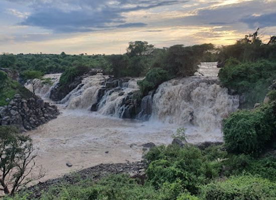 ethiopia/oromia-region/landmark/awash-national-park