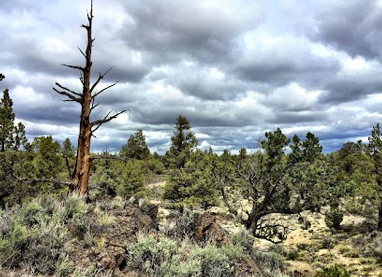 oregon/central-oregon/landmark/oregon-badlands-wilderness