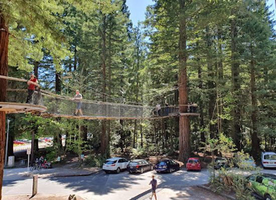 new-zealand/rotorua/landmark/redwoods-treewalk