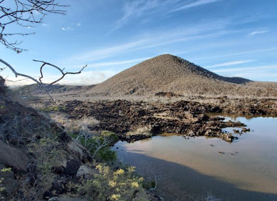 ecuador/galapagos-islands/landmark/punta-cormorant