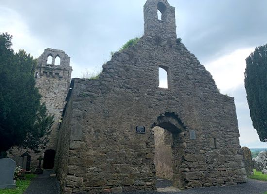 ireland/county-kilkenny/landmark/cantwell-fada-effigy