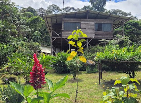 colombia/orinoquia/landmark/rn-la-isla-escondida