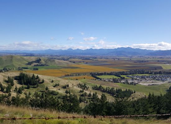 new-zealand/blenheim/landmark/the-burleigh-gourmet-pies