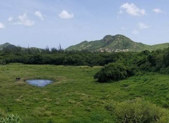 antigua-and-barbuda/jolly-harbour/landmark/jolly-harbour-golf-club