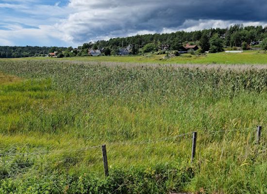 norway/telemark/landmark/kaupang-larvik