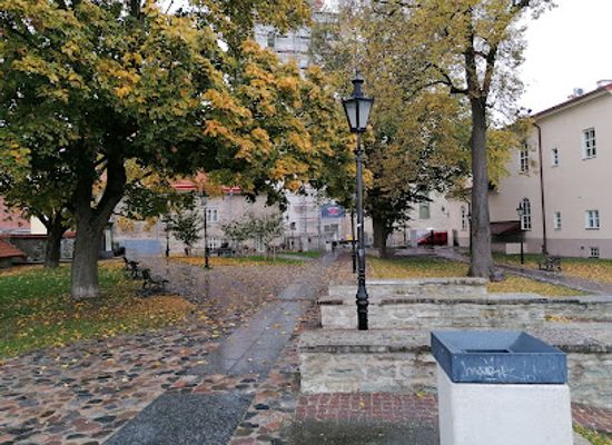 estonia/estonian-islands/landmark/bishop-s-garden-viewing-platform