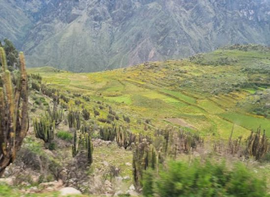 peru/colca-canyon/landmark/rio-colca