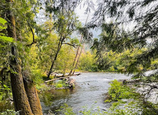 oregon/lane-county/landmark/mckenzie-river-trail