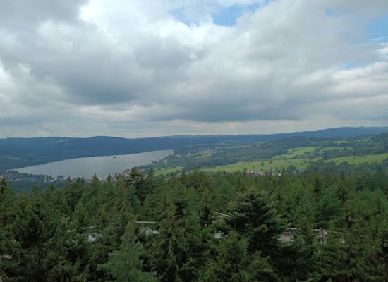 czechia/sumava/landmark/treetop-trail-lipno