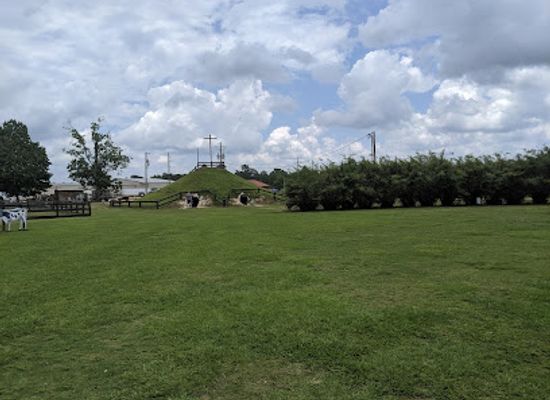 louisiana/northshore/landmark/liuzza-land
