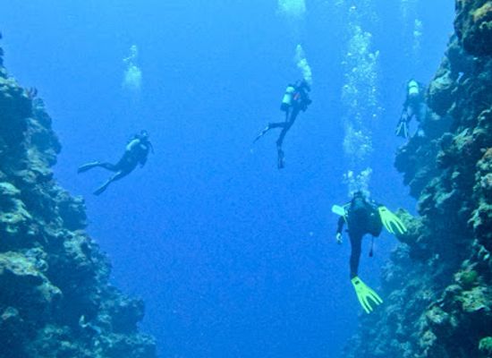 new-caledonia/la-foa/landmark/la-foa-plongee