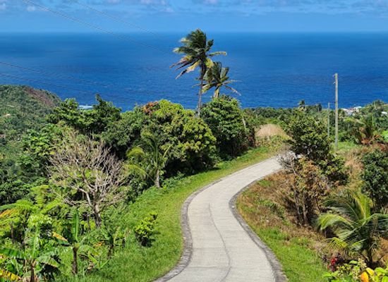 dominica/castle-bruce/landmark/central-forest-reserve