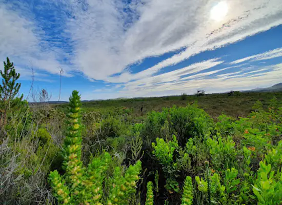 south-africa/sunshine-coast/landmark/van-stadens-wild-flower-reserve
