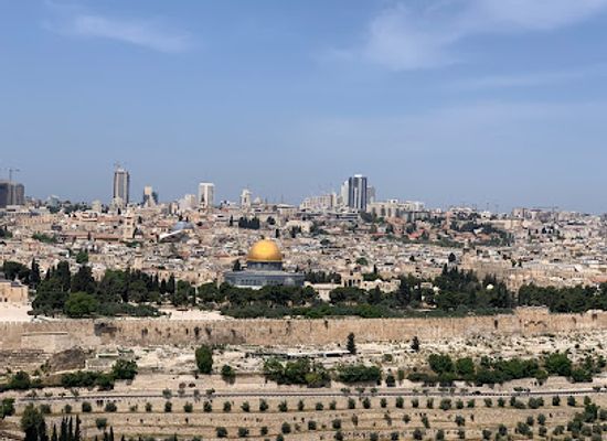 israel/central-district/landmark/shlomi-the-funtastic-private-tour-guides-in-israel