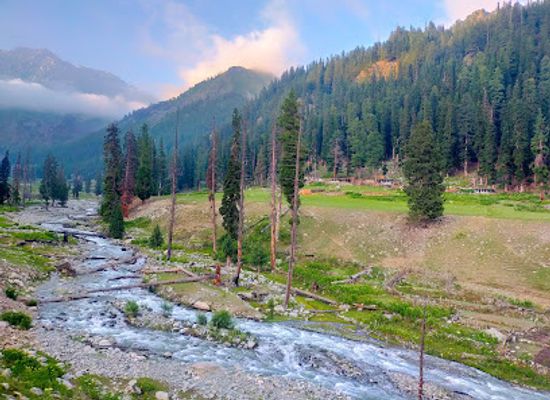 pakistan/swat-valley/landmark/janshae-meadows
