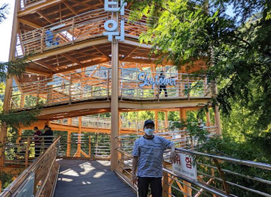 south-korea/daejeon/landmark/jangtaesan-recreational-forest