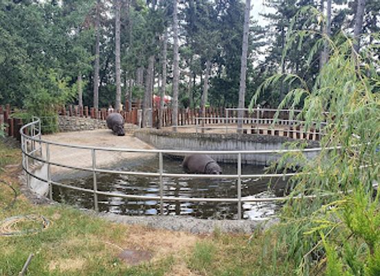 hungary/mecsek/landmark/pecs-zoo