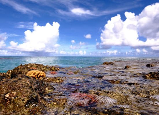 marshall-islands/kili-island/landmark/kili
