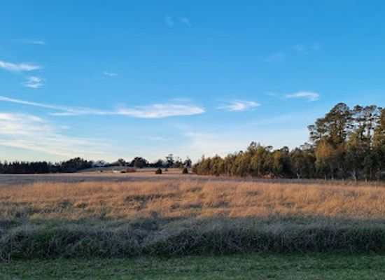 australia/central-highlands/landmark/bong-bong-common