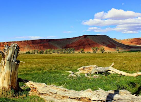 wyoming/sheridan-county/landmark/medicine-lodge-archaeological-site