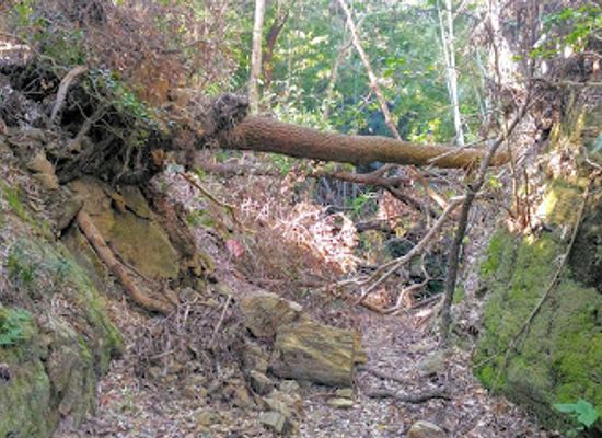 japan/kinki-kansai/landmark/yata-pass-kumano-kodo-pilgrimage-trail-kiritoshi-road